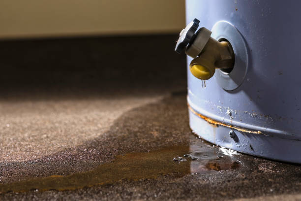 Best Professional water damage repair  in Marion, IN