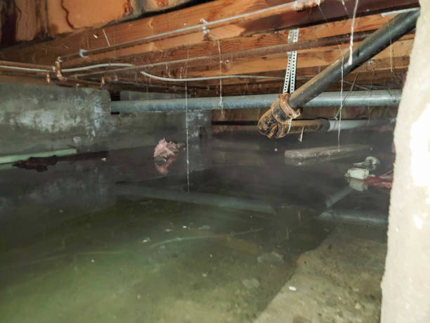 Professional Water damage restoration in Marion, IN