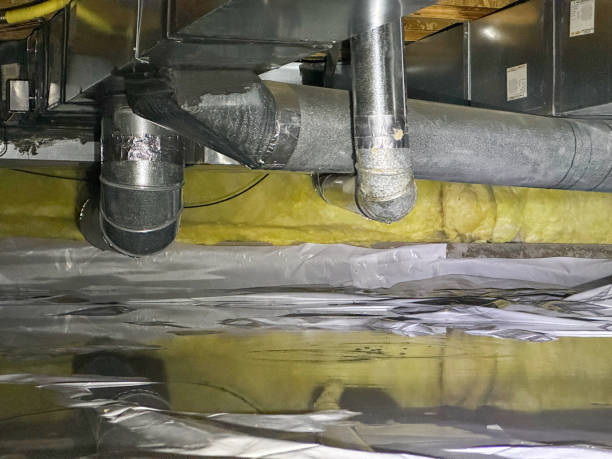 Best Water damage restoration near me  in Marion, IN