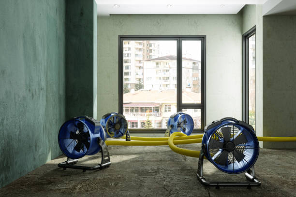 Best Water damage restoration company  in Marion, IN